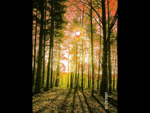 download lagu mp3 mp4 Tapetenwechsel Knef, download lagu Tapetenwechsel Knef gratis, unduh video klip Tapetenwechsel Knef