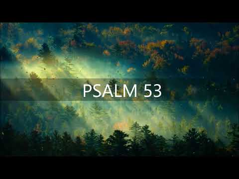 PSALM 53 / Kein Gott?