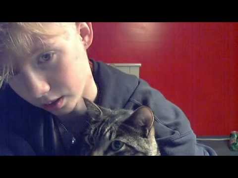 Goodnight/evening/day/afternoon