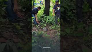 Download lagu PENAMPAKAN TAS Milik Terduga Pelaku Pembunuhan Nia Gadis Penjual Gorengan, Ada Senjata hingga KTP mp3