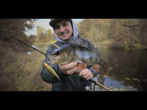 Vobler Daiwa Steez Pencil 60F 6.0cm 4.2g Blue Back Chart F