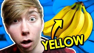 I Am Not Color Blind.