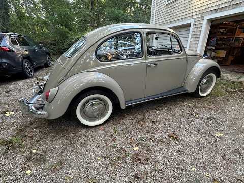 1966 Volkswagen Beetle (CC-2121916) for sale in North Andover, Massachusetts