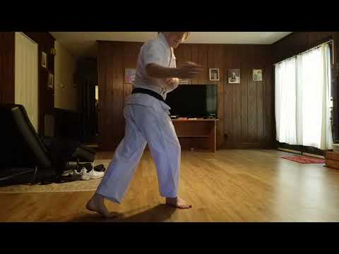 American Martial Arts Academy Online Karate Class Lesson 3 Part 1