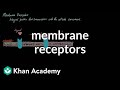 Membrane Receptors | Nervous system physiology | NCLEX-RN | Khan Academy