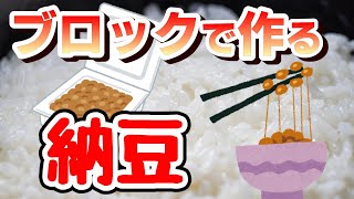 【納豆】驚きの再現度！リアルすぎるナノブロック納豆を爆速組み立て【4倍速タイムラプス】