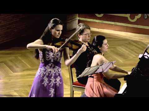 J. Brahms Violin Sonata Op. 78 - Lea & Esther Birringer