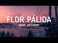 Marc Anthony - Flor Pálida (Letra / Lyrics)