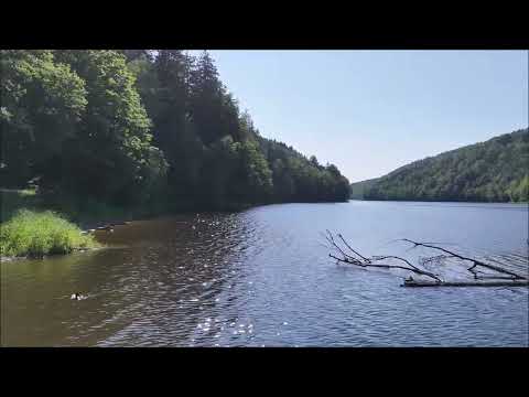 Kemping Złoty Potok - Jezioro Złotnickie