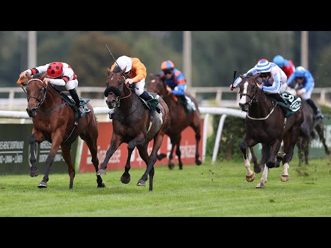 Dortmund: WETTSTAR.de - 140. Deutsches St. Leger 2024 Sieger: Prydwen