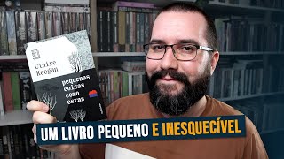 PEQUENAS COISAS COMO ESTAS, de Claire Keegan: a bondade que se revela nas pequenas atitudes