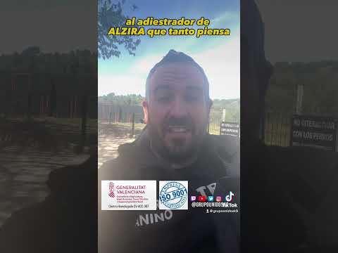 #estafador en #alzira #educacioncanina #adiestramientocanino #adiestramiento #dog #perro