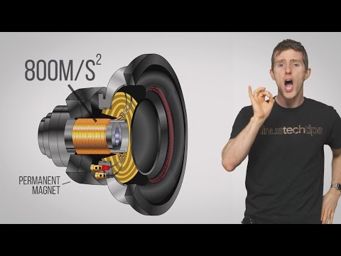 What are voice coils