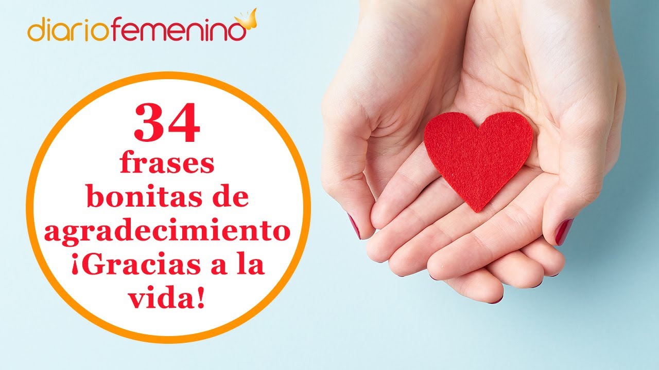 34 frases bonitas de agradecimiento a la vida, a tu pareja, a la familia... | Mensajes de gratitud