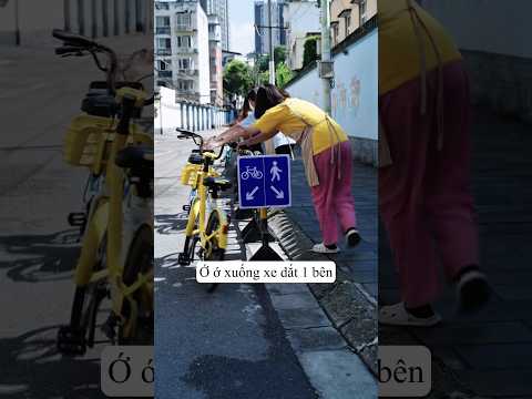 Đi Xe Đạp Đúng Biển Báo