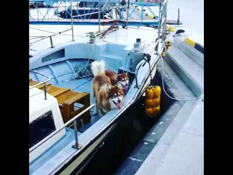 150628 JJCC - 더블제이씨 Eddy Update