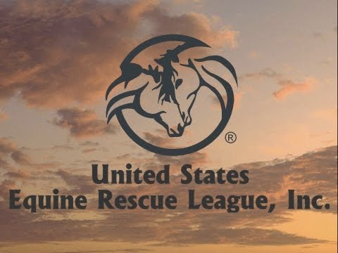 Expansion of Horse Program for 30 Horses