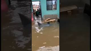 dangerous  floods caught on camera #viral #trending #floods #flood #Disaster #nature #viral