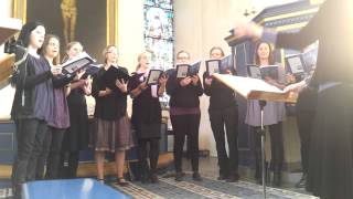 Amaté Adea. Stella Vocalis