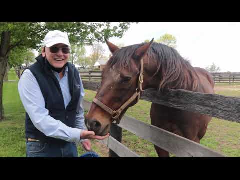 Old Friends Virtual Tour - Nicanor and Sun King