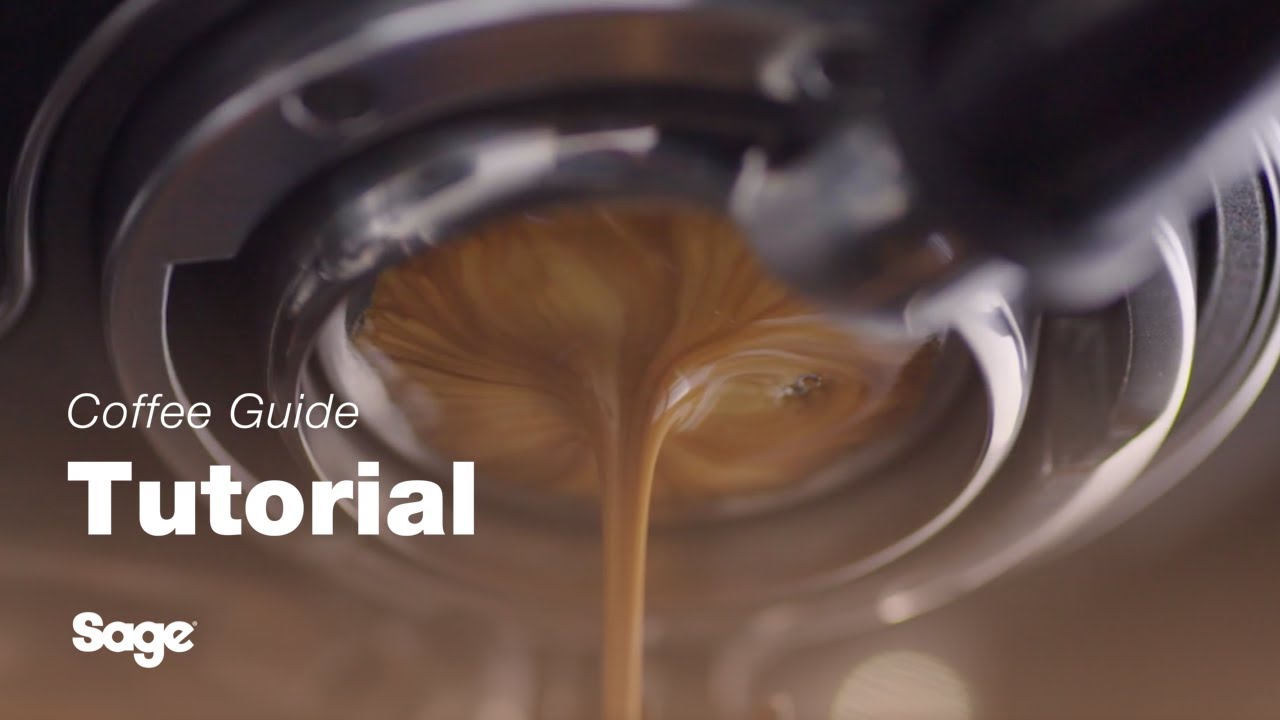 Getting your first extraction right