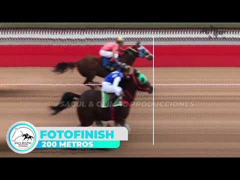 Mi Tesoro vs 22 Corto