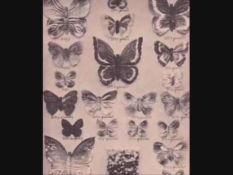 Plachý Host - Plachý host - Sbírka otazníků