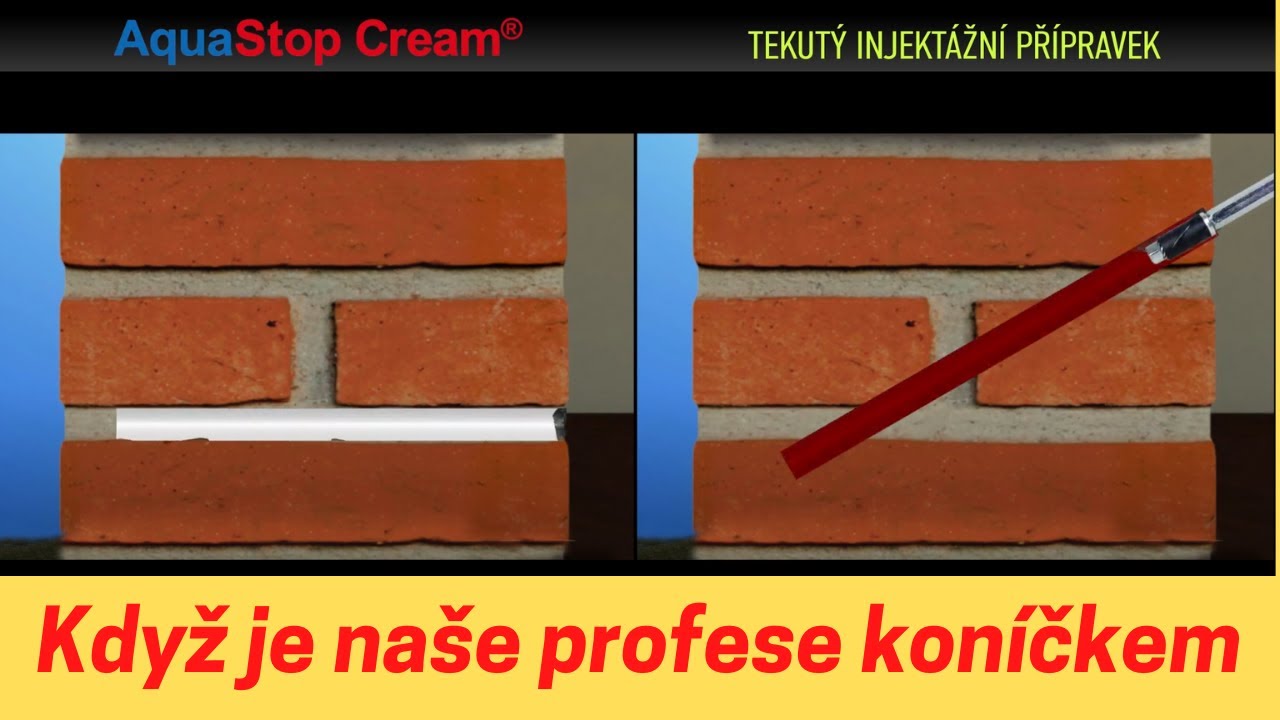 Přehrát video