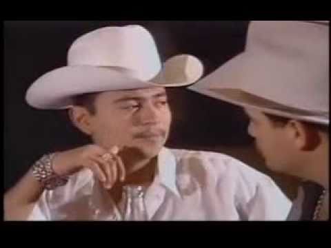 QUERIDO AMIGO - SAUL VIERA Y EL ROJO DE SINALOA