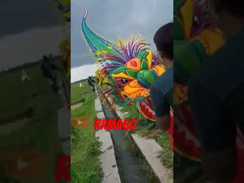 layangan naga 355 keping Di sawah