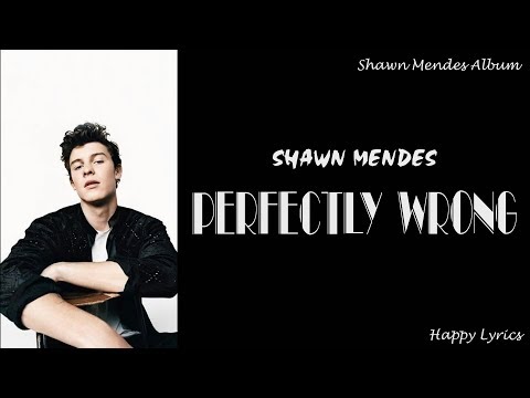 Shawn Mendes - Perfectly Wrong (Lyrics Video)