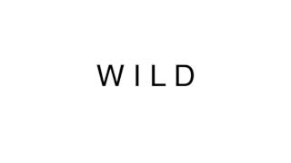 Wild - Troye Sivan (JJ Hewlett Cover )