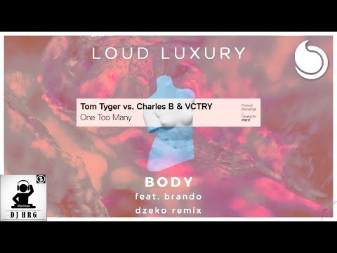 Loud Luxury feat. Brando VS Tom Tyger vs Charles B & VC TRY - Body VS One Too Many (DJ HRG Mashup)