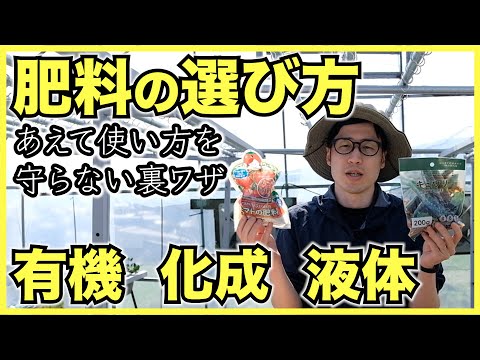 自家製の天然肥料: 植物に肥料を与えて栄養を与えるためにどのような注入液を調合すればよいでしょうか?  庭園