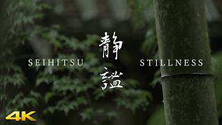 Download lagu 静謐　Seihitsu / Stillness mp3