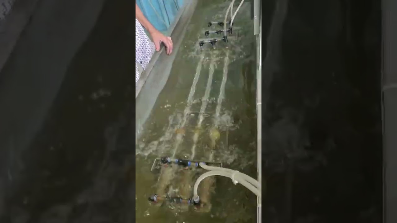 Shower software leak pressure test- Good tools and machinery make work easy