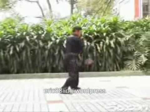 Black Tiger Fist..wmv