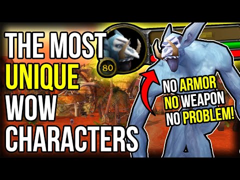 The Most UNIQUE Ways To Play Warcraft