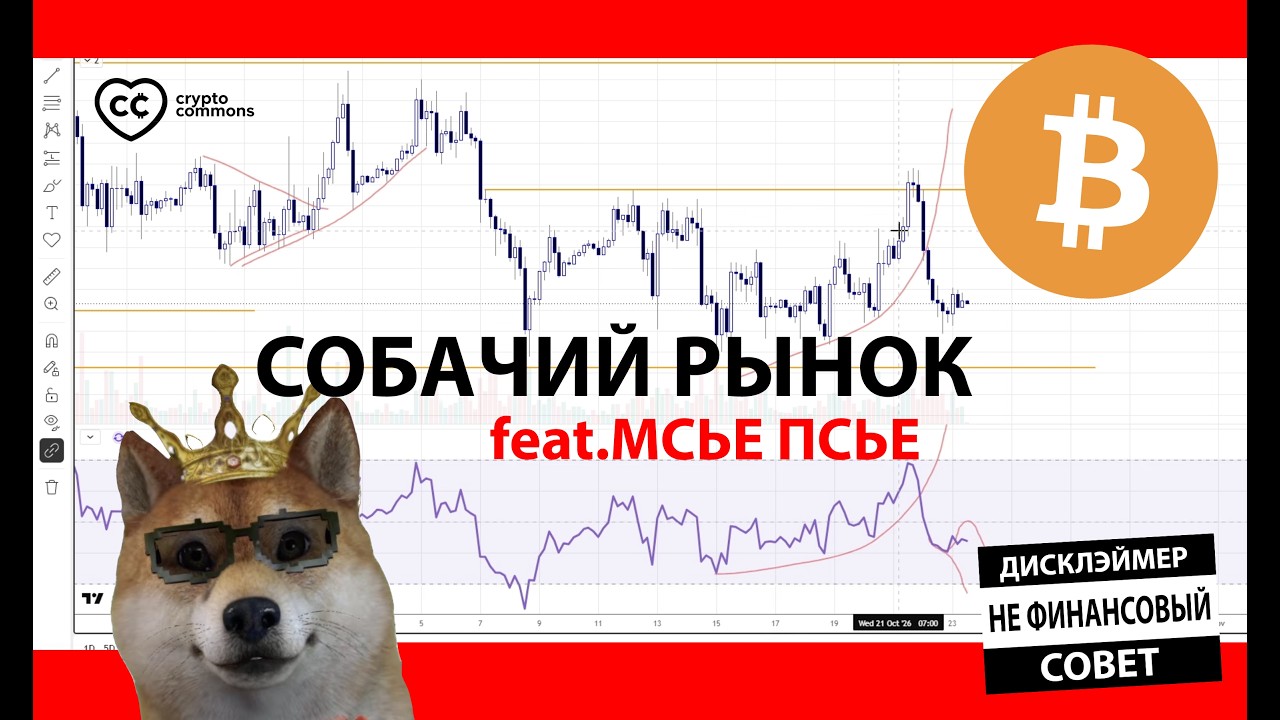 ПЁС В ШОРТАХ ПО САМЫЕ $15k!!!  🔴  КРИПТО АБЫРВАЛГ СТРИМ feat. @Cryptoanton