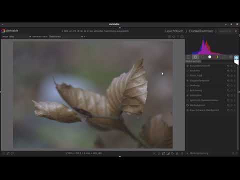 Darktable der vierte Teil für Anfänger  ( Module anpassen )