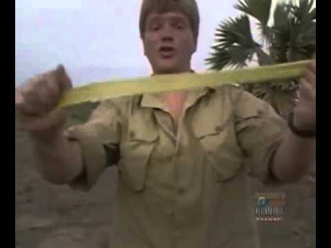 Ray Mears' World Of Survival S02E04 - The Coromandel Coast