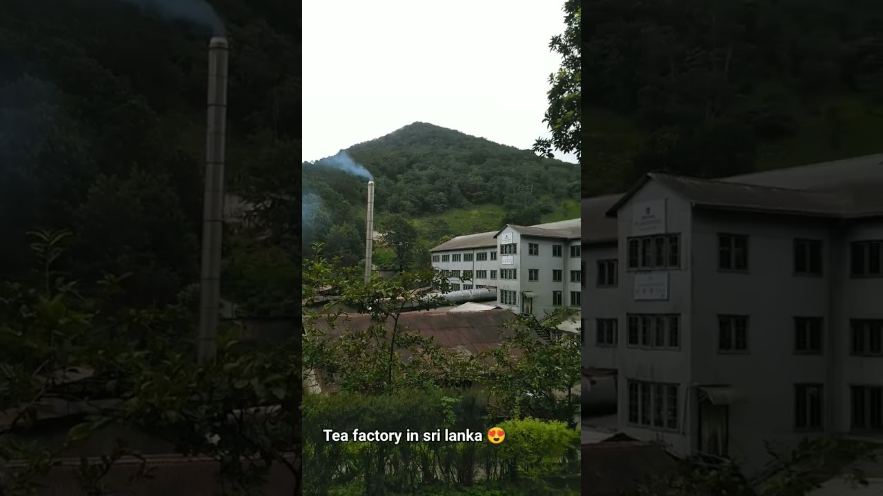 YouTube Short thumbnail