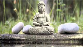 Emotional Spa Music: Guitar Lounge Music Wellness & Relaxation