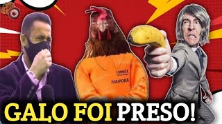 Os REPRTERES mais sem NOO do BRASIL 6