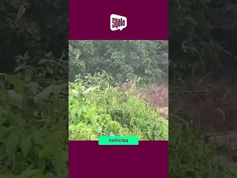 BAGUA: Dos personas habrían muerto por activación de quebrada en Aramango