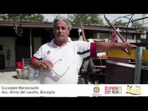 Bisceglie: Amici del cavallo