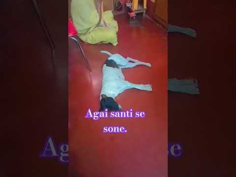 Bachko v pata hai santi kaha hai