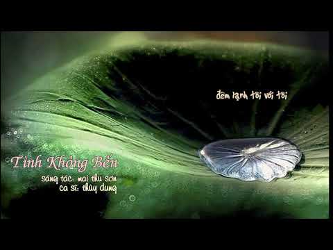 Tình không bến Sheet - Thùy Dung