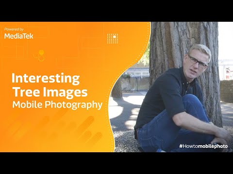 Basics of Unconventional Tree Photos | Elements of Nature | Mobile Photography Hacks