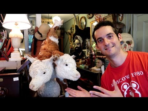 NYC's WEIRDEST Store ! 😱 (Obscura Antiques & Oddities)